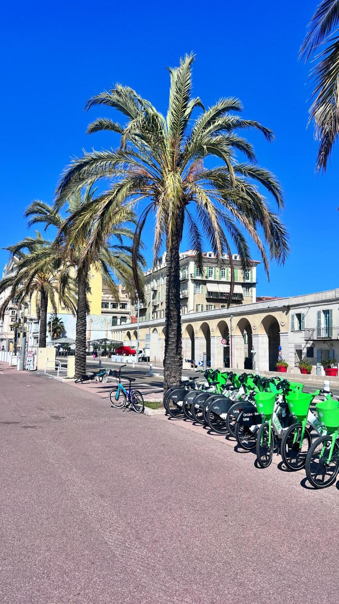 Le Porto - 150m Port Apartment *